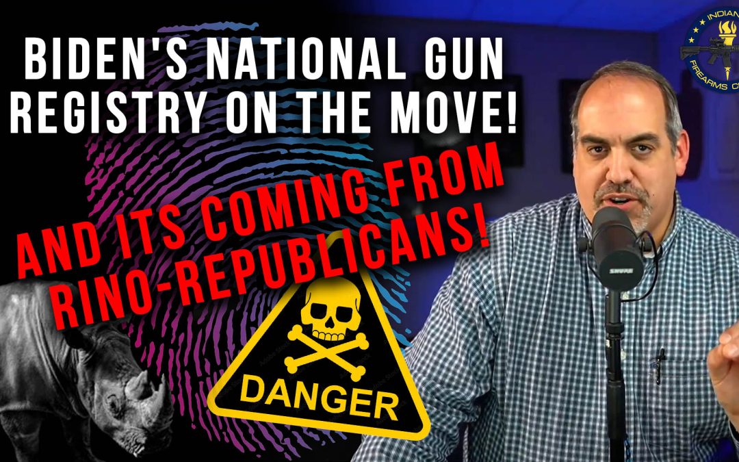 Must Watch Video: GOP-Sponsored Gun Control Filed!