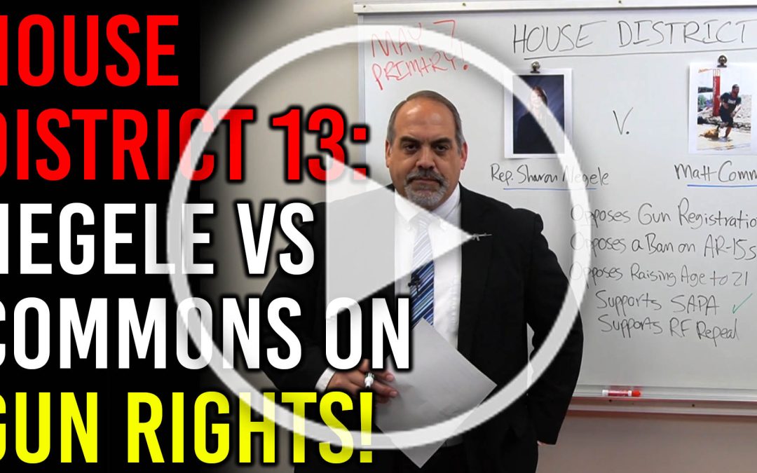 Matt Commons v. Sharon Negele: Who Will Fight for Gun Owners in HD-13?